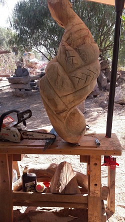 Maderiana terreno taller