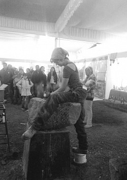 Maderiana feria de la piedra