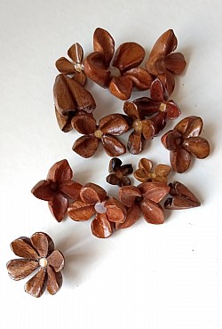 Flores talladas en maderas con pistilo en cuarzo