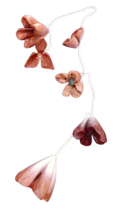 Flores colgantes
