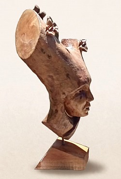 Maderiana escultura naturaleza madera