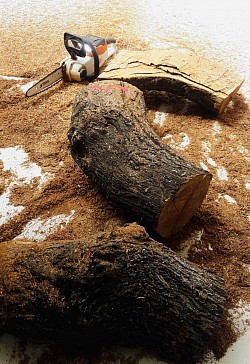 Maderiana madera tallada